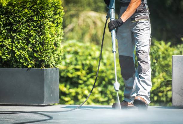 Best Oil Spill Cleanup  in Lincoln Park, MI